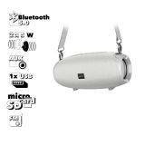 Bluetooth колонка BOROFONE BR12 Amplio Sports TWS BT 5.0, 5Wх2, AUX, microSD, USB, FM (серая)