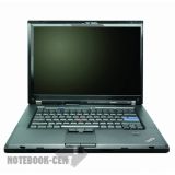 Аккумуляторы для ноутбука Lenovo ThinkPad T500 NJ253RT