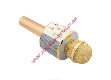 Караоке микрофон-колонка WSTER WS-858 Bluetooth, USB, Line-In/Out золотая, коробка