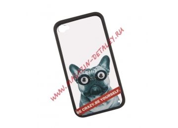 Защитная крышка для iPhone 4/4S "Be Crazy. Be Yourself" Собака Мопс (коробка)