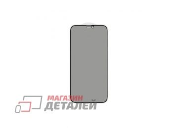Защитное стекло 3D PRIVACY для iPhone 12, 12 Pro (черное) (VIXION)