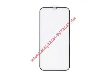 Защитное стекло 3D для iPhone 12 Pro Max черное (VIXION)