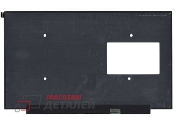 Матрица NE173FHM-NZ6