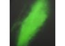 Защитная крышка "LP" для iPhone X "Термо-радуга" черная-зеленая (европакет)